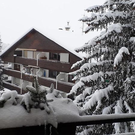 Apartment A'Horn Sankt Johann in Tirol Exterior foto